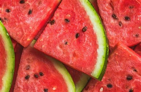 ist wassermelone gesund und warum was wissen sie eigentlich über diesen durstlöscher