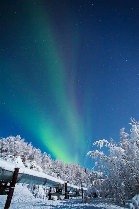 Searching For Northern Lights In Fairbanks Alaska Wander The Map