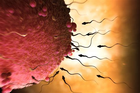 Low Sperm Count Causes Oligoasthenoteratozoospermia