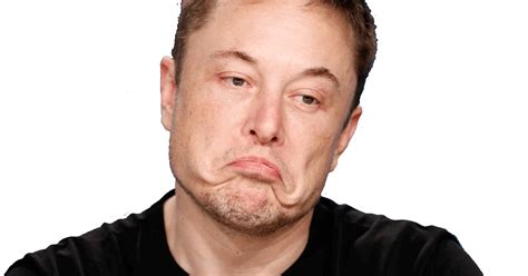 Transparent Elon Musk Face Png Pictures My XXX Hot Girl