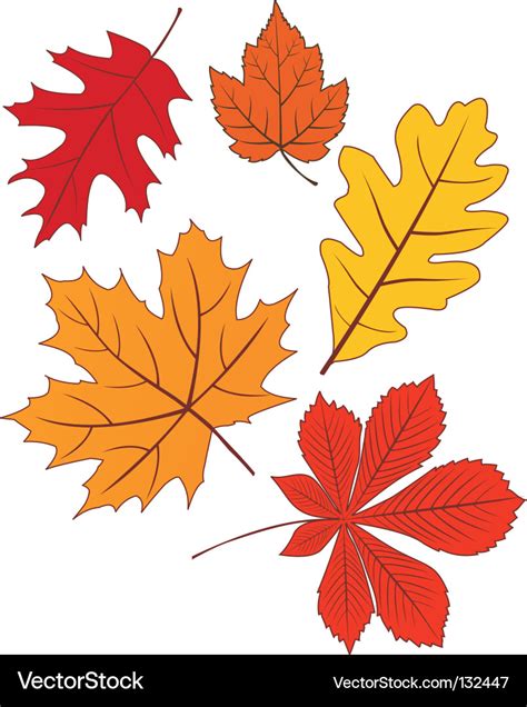 Collection Of Autumn Leave Shapes Royalty Free Vector Image