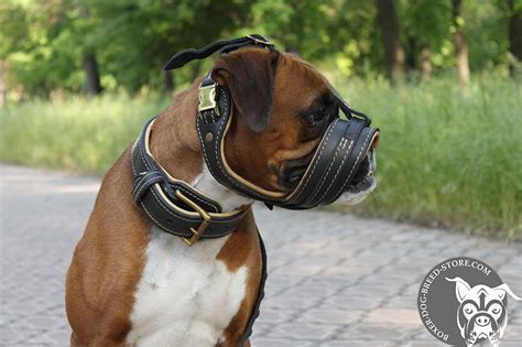 Excellent Air Flow Leather Boxer 【muzzle】 For Daily Walks Boxer Breed