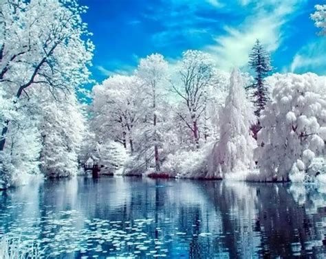 Beautiful Winter Snow Scene Diy Full 5d Diamond Painting Cross Stitch