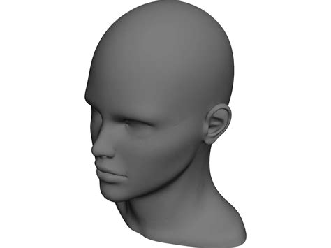 Human Head And Neck Cad Model 3dcadbrowser