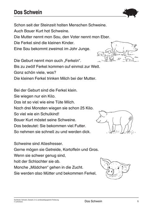 So verbessern schülerinnen und schüler gleichzeitig ihre lesekompetenz: Lesen und Textverständnis · Arbeitsblätter · Sonderpädagogik · Lehrerbüro