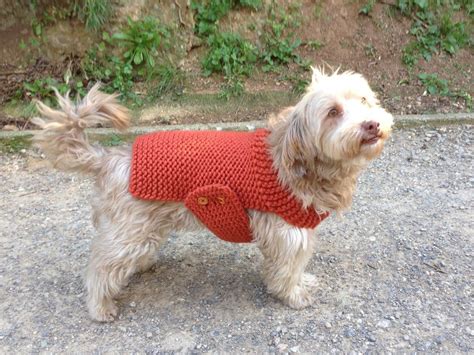 Knit in the round for the body of the sweater and cast off stitches to make the two front leg holes. How to Loom Knit a Dog Sweater. Coat (DIY Tutorial ...