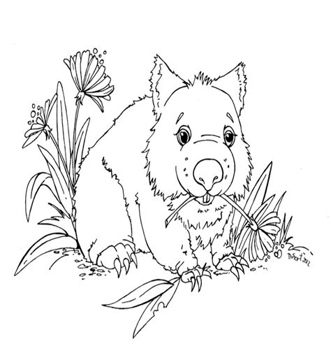Australian Animals Coloring Pages Best Coloring Pages For Kids