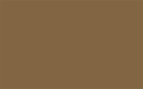 2880x1800 Raw Umber Solid Color Background