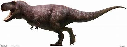 Tyrannosaurus Redesign Saurian Rex Squarespace Fullsize Prehistoric