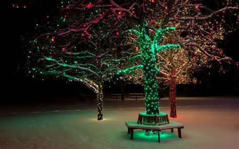 1920x1200 Trees Lights Christmas Winter Snow Park Wallpaper