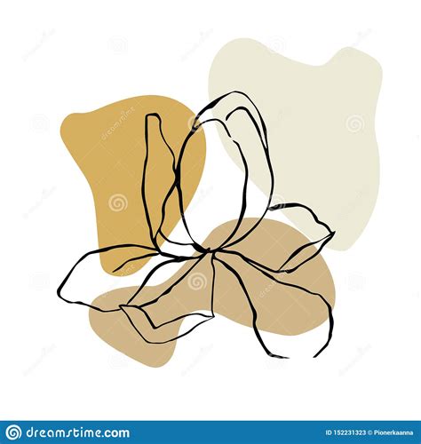 Modern Abstract Shapes Vector Background Or Layout Contour Line