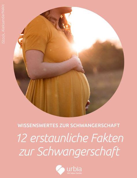 Pin Auf Schwangerschaft Pregnancy