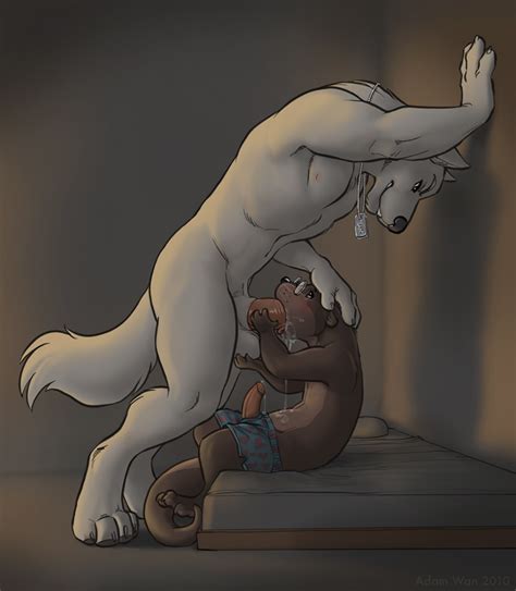 Rule 34 Adam Wan Anthro Anthro Only Blowjob Gay Oral Otter Penis Size Difference Wolf Zaush