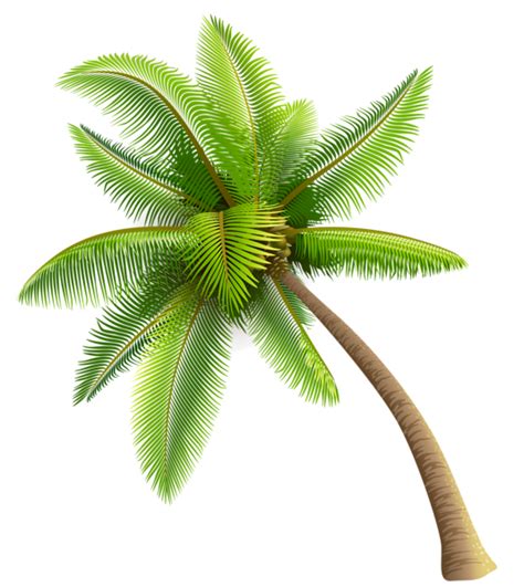 Pohon kelapa sawit animasi clipart best source: Gambar Pohon Kelapa Kartun Di Pantai - Blog Spots