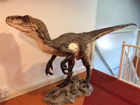 Jurassic Park Studio Oxmox 320cm In Length And 165cm In Height