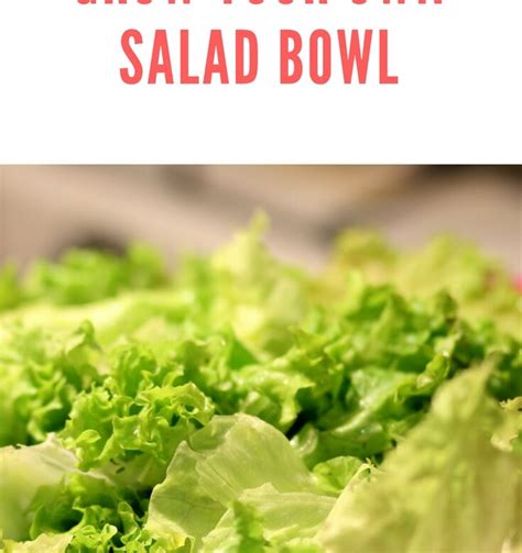 Grow Your Own Salad Bowl