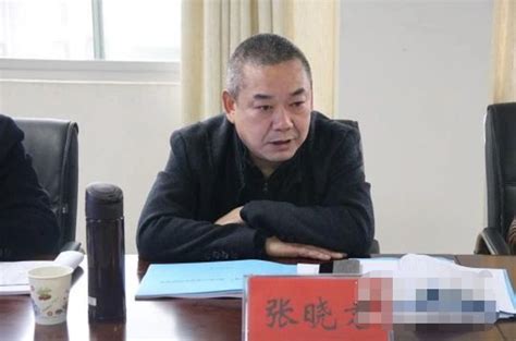 湖南省常德市行政审批服务局原党组成员张晓君接受审查调查 大河新闻