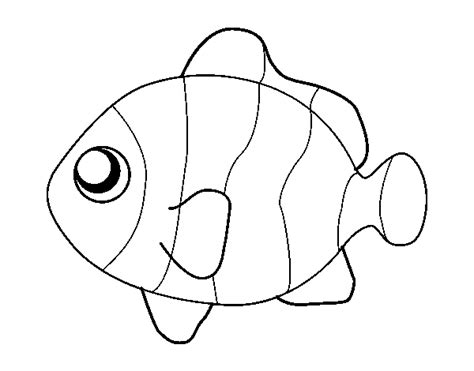 Download this premium vector about clownfish coloring page, and discover more than 12 million professional graphic resources on freepik. Clownfish coloring page - Coloringcrew.com