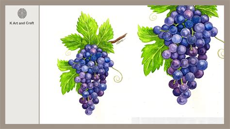 How To Draw Grapes Painting By Water Colour Step By Step Easy