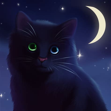Black Cat Avatar