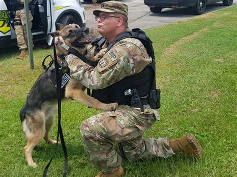 K9s Train At Fort Stewart Article The United States Army