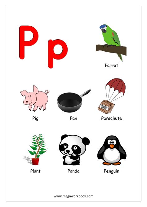 Objects Starting With Alphabet P Preschool Alphabet Letters