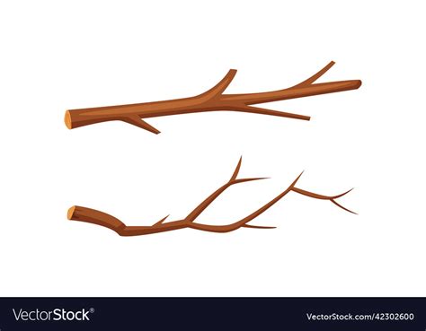 Dry Tree Branches Set Forestry And Lumber Vector Image