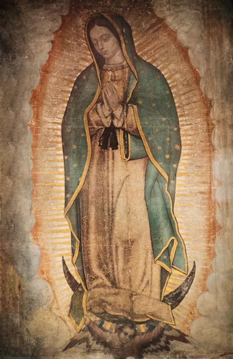 Virgen De Guadalupe En Vivo ¡contempla La Imagen Y Ora Ante Ella