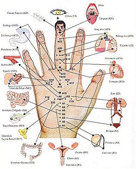 Hand Reflexology Acupressure Treatment Massage Therapy