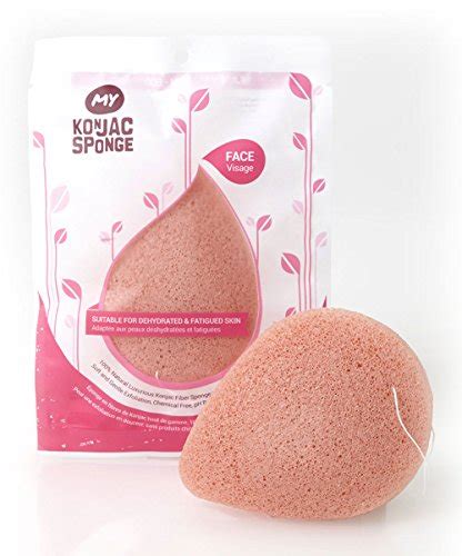 Top 12 Best Konjac Sponge Brands Of 2022