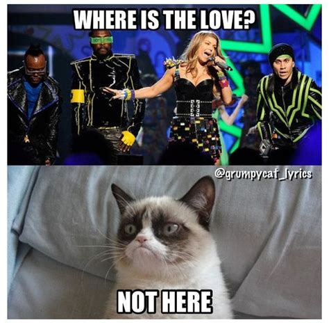 Grumpy Cat Sings Where Is The Love By Black Eye Peas Funny Grumpy Cat