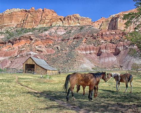 Capitol Reef National Park Scenic Drive National Parks Usa