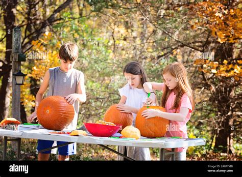 Three Young Children Carving Pumpkins Outdoors Stock Photo Alamy