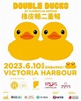 「黃色小鴨」重磅回歸！／18公尺橡皮鴨成雙成對重現香港 橡皮鴨主題電車上路 | 美食旅遊 | udn 女子漾