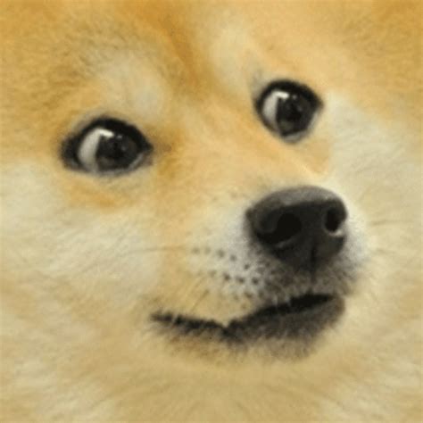 Doge Meme Template Doge Meme Templates Indian Meme Templates See