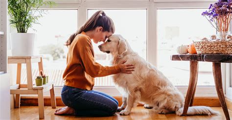 How Dogs Can Improve Health