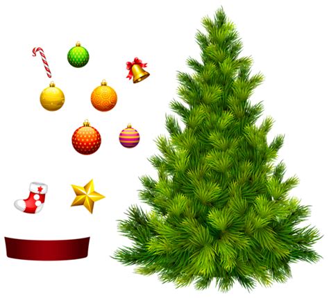 Shrub, bushes, green plants illustration, branch, grass png. Christmas tree PNG