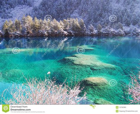 Winter Tree And Lake In Jiuzhaigou Stock Image Image Of Highlands
