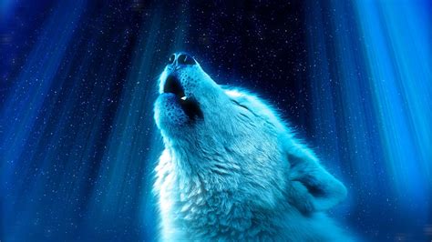 100 Howling Wolf Pictures