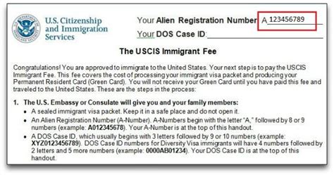 Alien Registration Number Explained Citizenpath