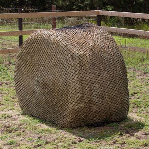 Round Bale Hay Chix