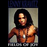 Lenny Kravitz – Fields Of Joy (1992, Vinyl) - Discogs