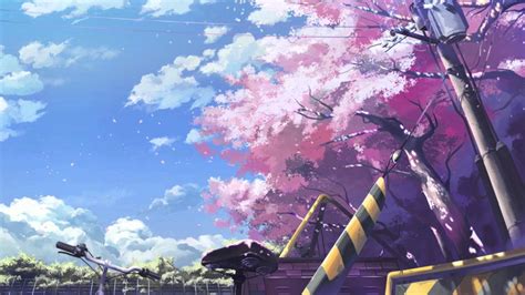 Cherry Blossoms Anime Scenery Wallpapers Top Free Cherry Blossoms