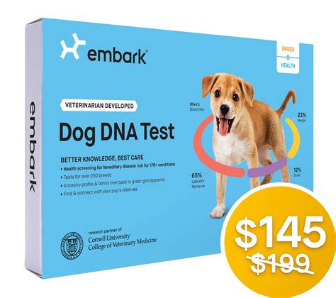 Understanding Dog Blood Test Results