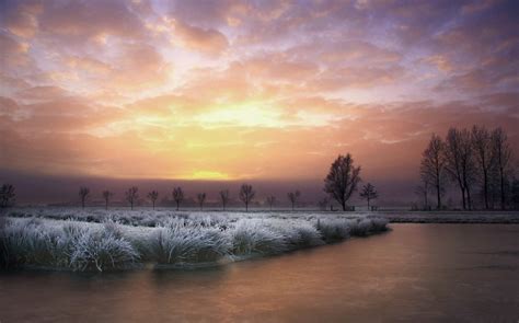 Landscape Nature Frost Sunrise Winter Germany Trees Sky Clouds