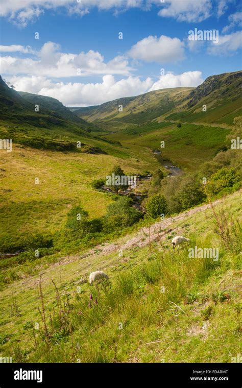 Abergwesyn Pass Irfon Valley Cambrian Mountains Powys Mid Wales Uk