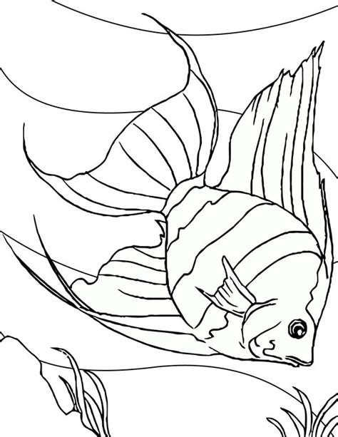 Up to 15 years size: Angel Fish Dive Into Sea Floor Coloring Page : Coloring Sky