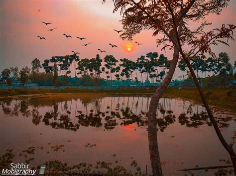 Wild Beauty Of Bangladeshs Landscape Revealed By Cameramans Stunning