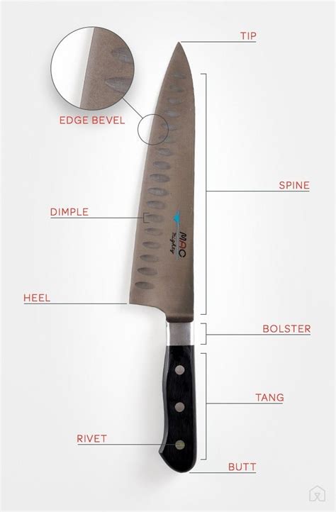 knife chef anatomy kitchen knives chefs cooks