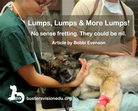 Busters Vision Animal Tumors And Lymphoma In Pets